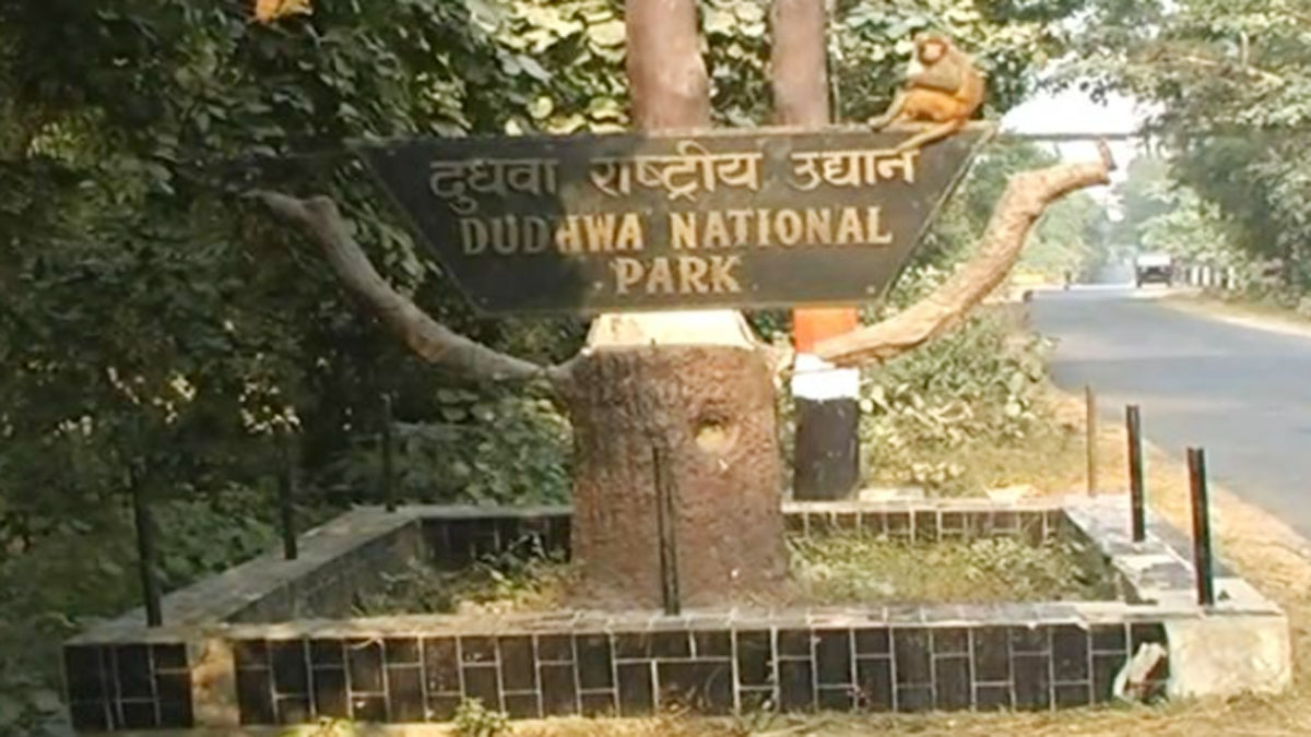 दुधवा के जंगल में अचानक लगी आग