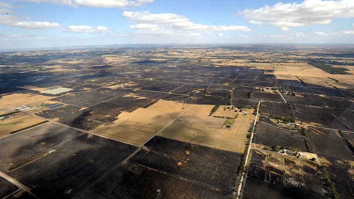 Human Changed Ecosystem 12000 years Ago