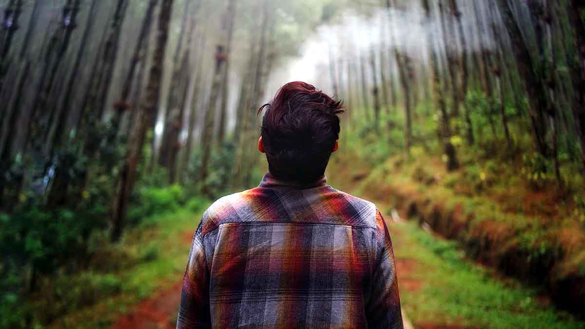 Human Changed Ecosystem 12000 years Ago