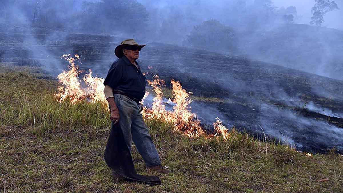 Human Changed Ecosystem 12000 years Ago