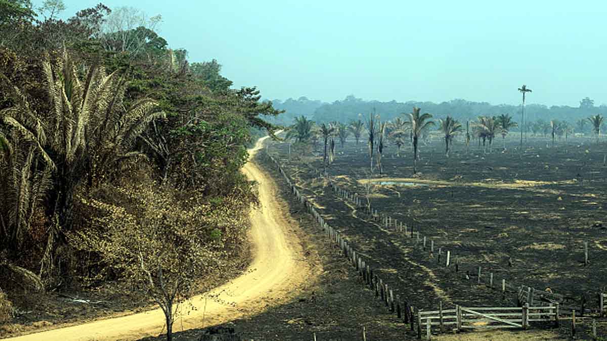 Human Changed Ecosystem 12000 years Ago