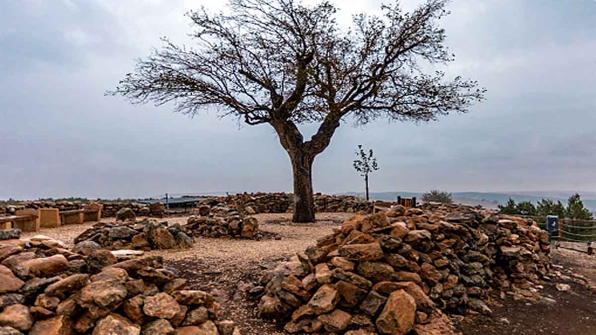 Human Changed Ecosystem 12000 years Ago