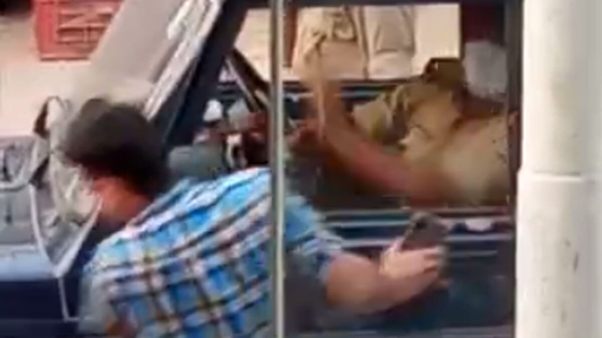 युवक ने दरोगा को जड़ा थप्पड़ युवक ने दरोगा को जड़ा थप्पड़