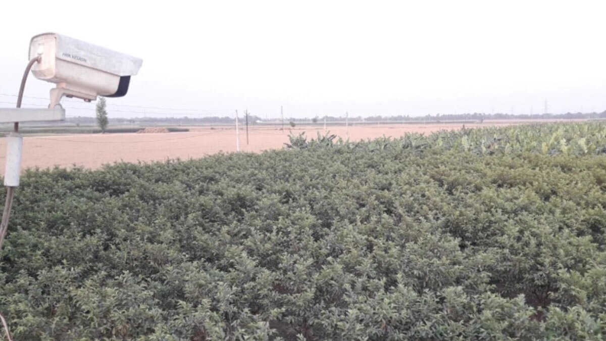 Farmer Sudhanshu Kumar