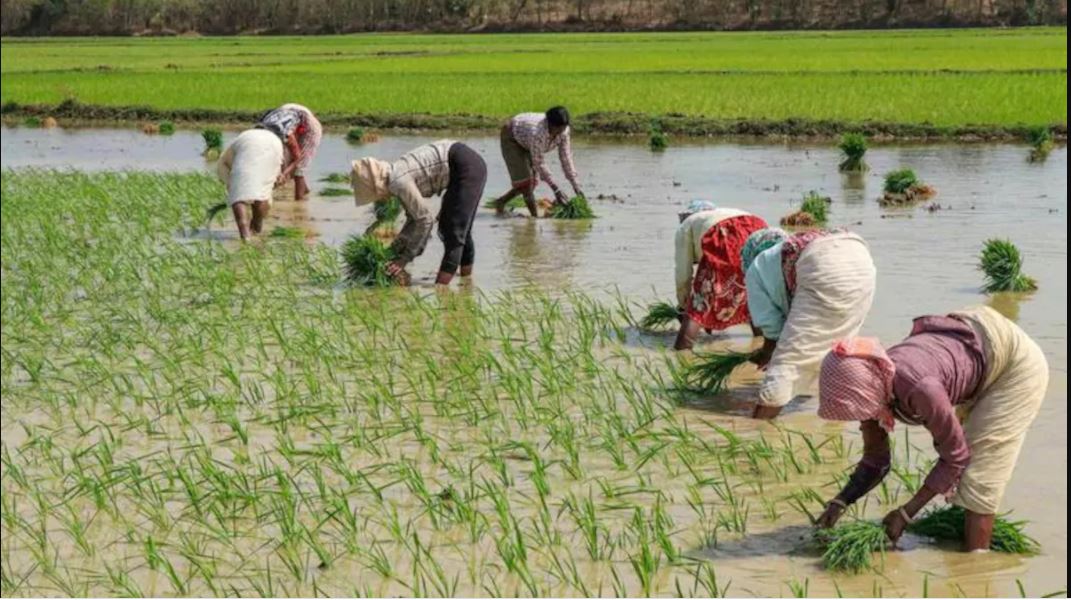 लैंड रिकॉर्ड का डिजिटलीकरण