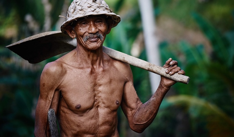 सपने में किसान देखना 