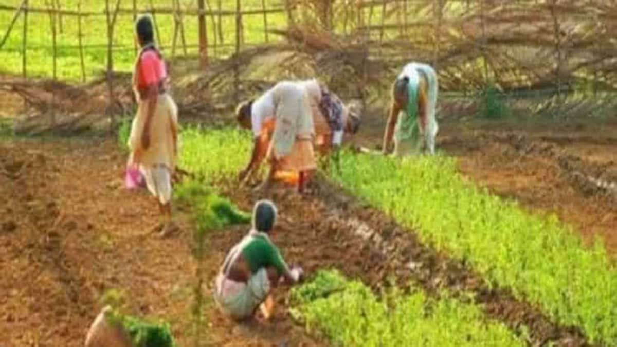 10,000 रुपये मासिक पेंशन वाले लाभ के हकदार नहीं 