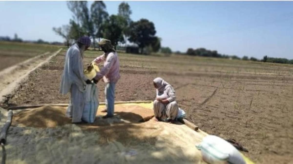 देश में 38,206 गांव का हो चुका है ड्रोन सर्वेक्षण