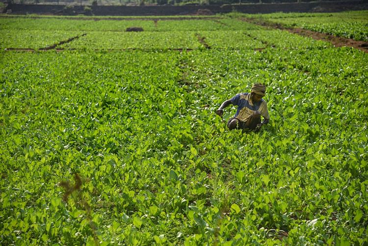 पीएम किसान में मिलते हैं 6,000 रुपये