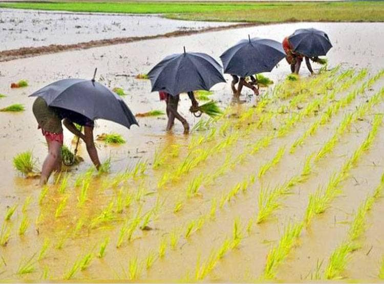 जिनके नाम पर खेत वो लाभ के हकदार