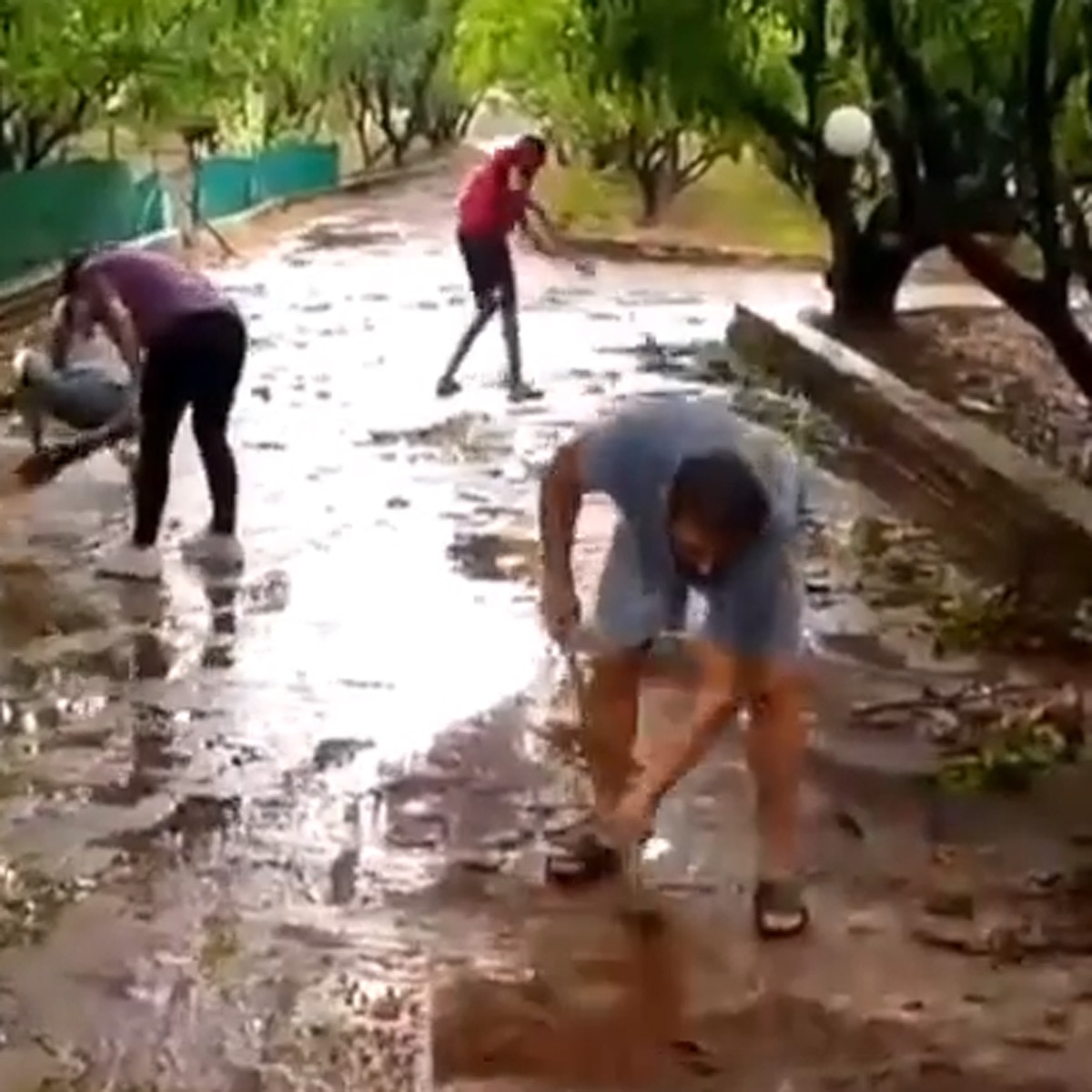 सलमान खान