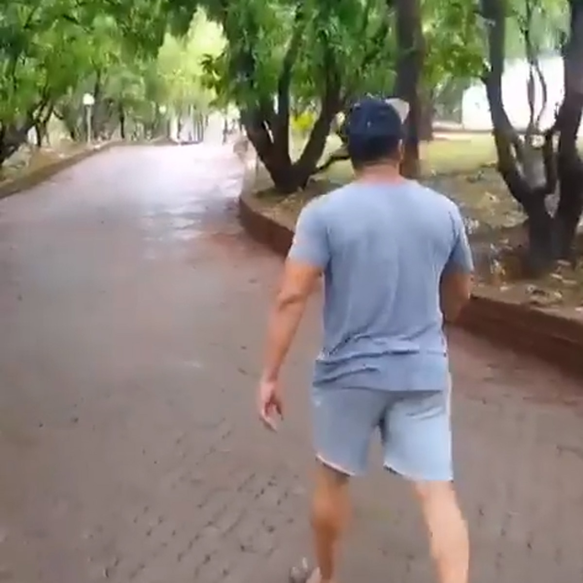 सलमान खान