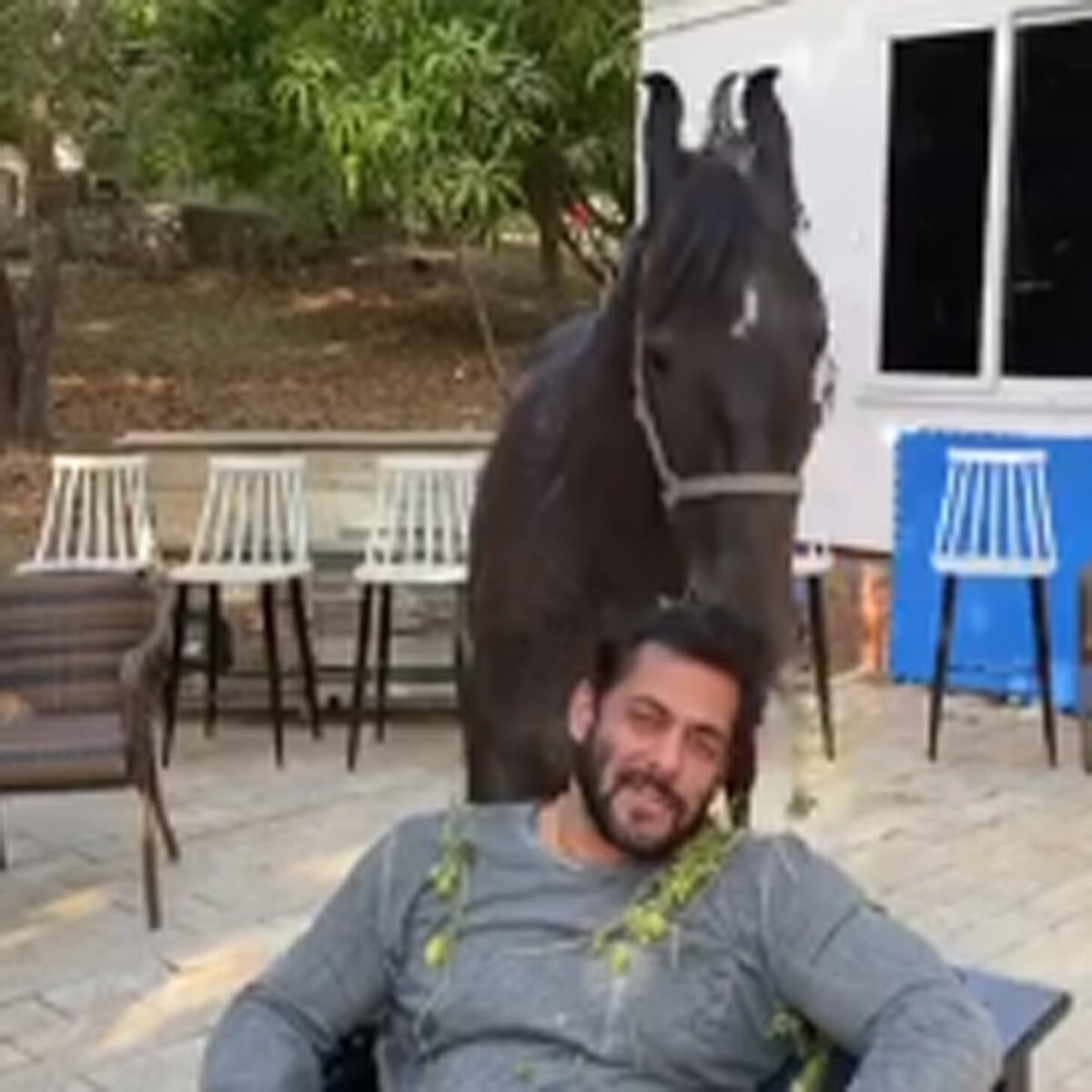 सलमान खान