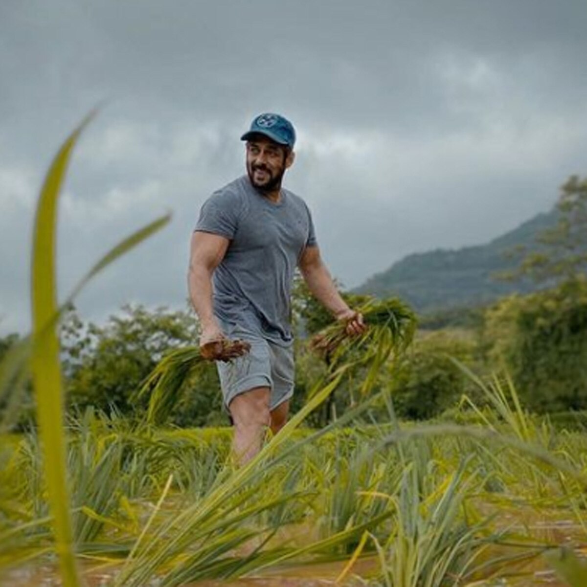 सलमान खान