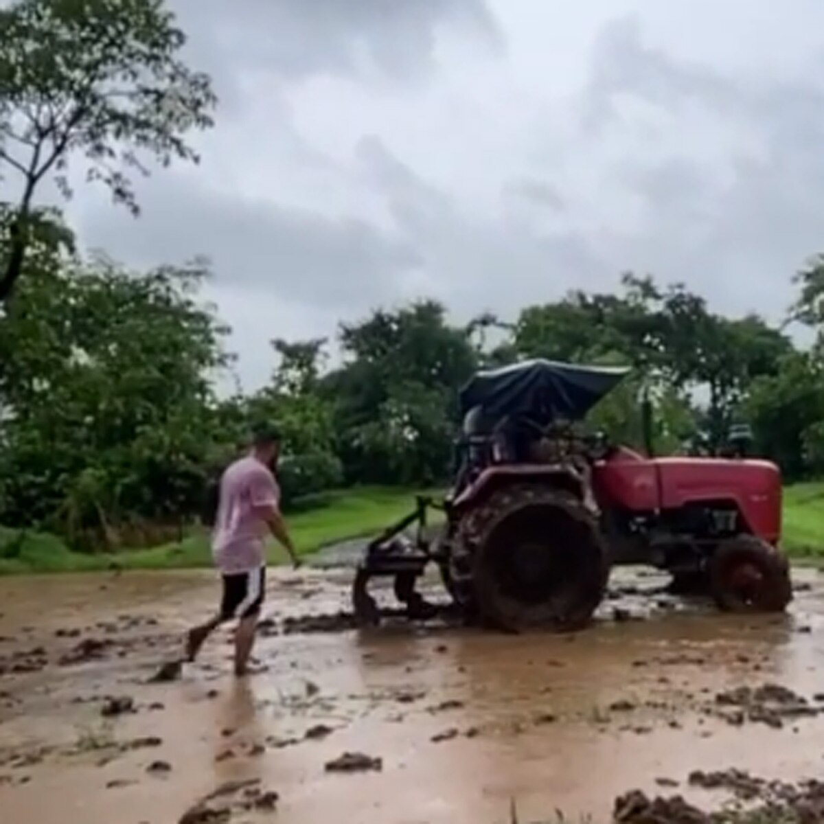 सलमान खान