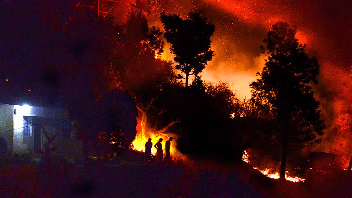 Forest Fire Uttarakhand Monsoon