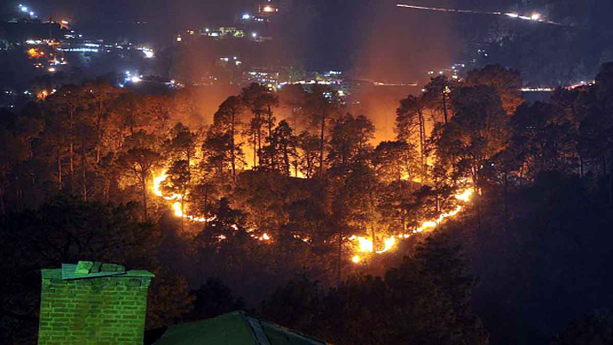 Forest Fire Uttarakhand Monsoon
