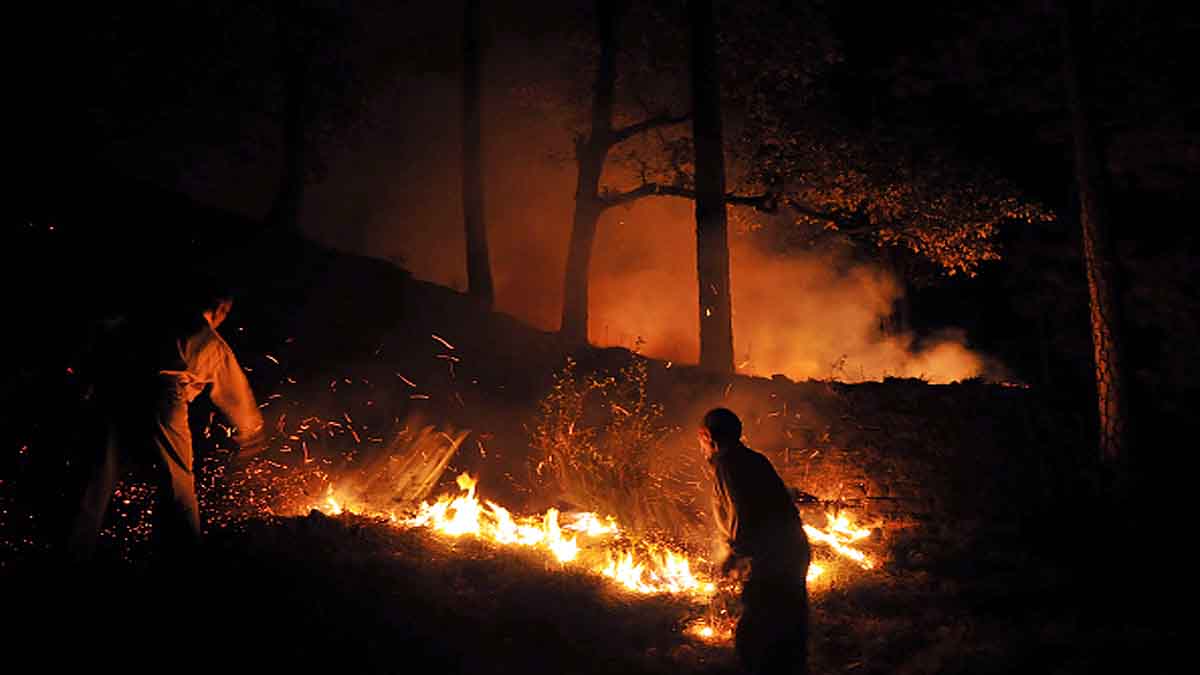 Forest Fire Uttarakhand Monsoon