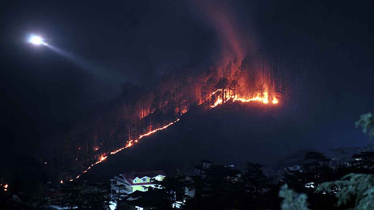 Forest Fire Uttarakhand Monsoon