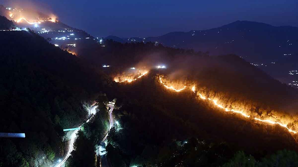 Forest Fire Uttarakhand Monsoon