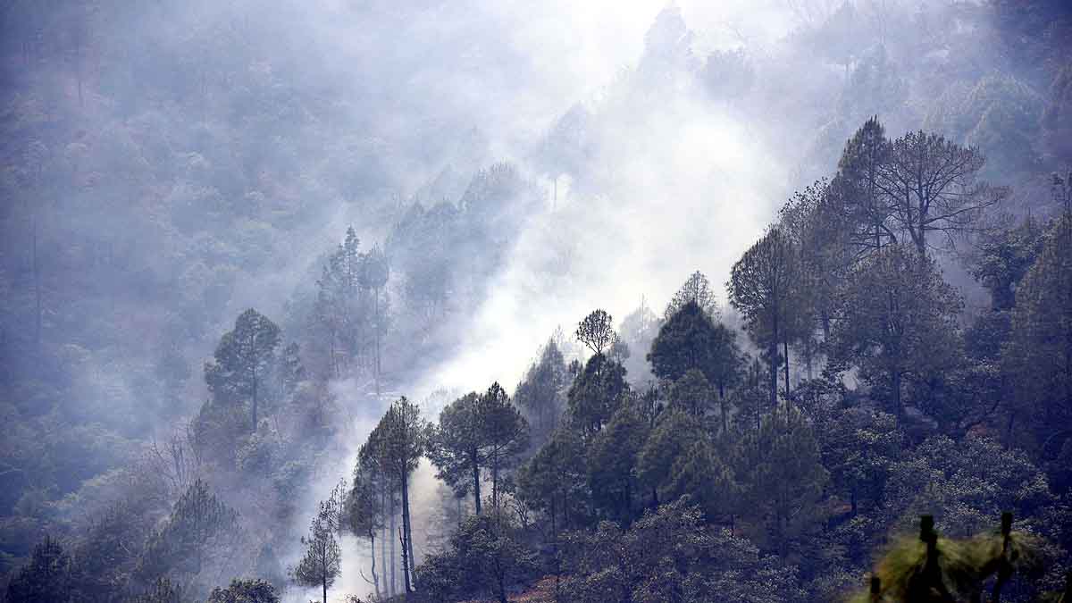Forest Fire Uttarakhand Monsoon