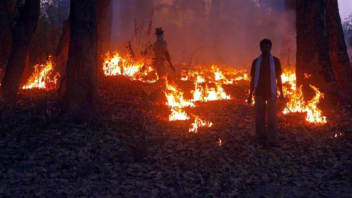Forest Fire Uttarakhand Monsoon