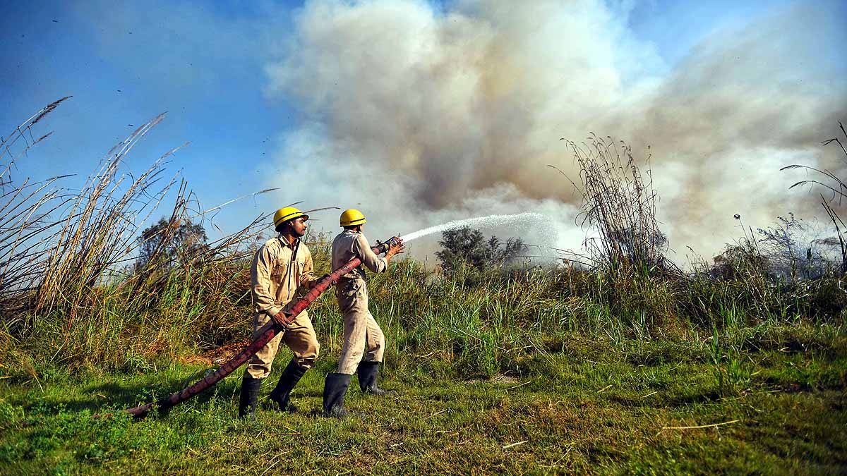 Forest Fire Uttarakhand Monsoon