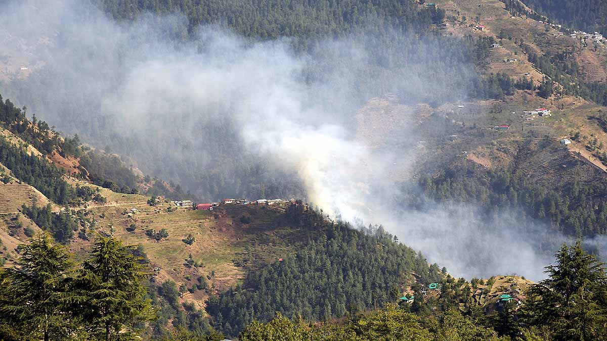 Forest Fire Uttarakhand Monsoon