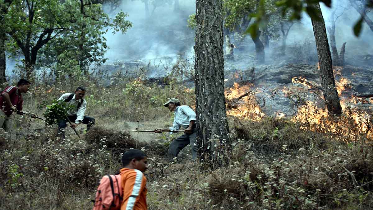 Forest Fire Uttarakhand Monsoon