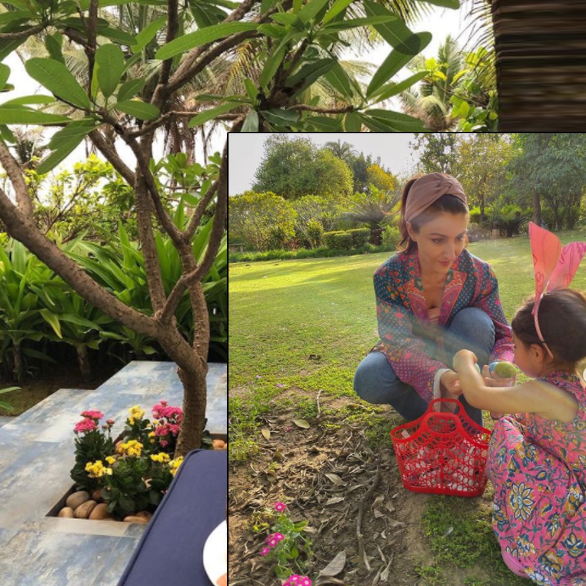 सैफ अली खान