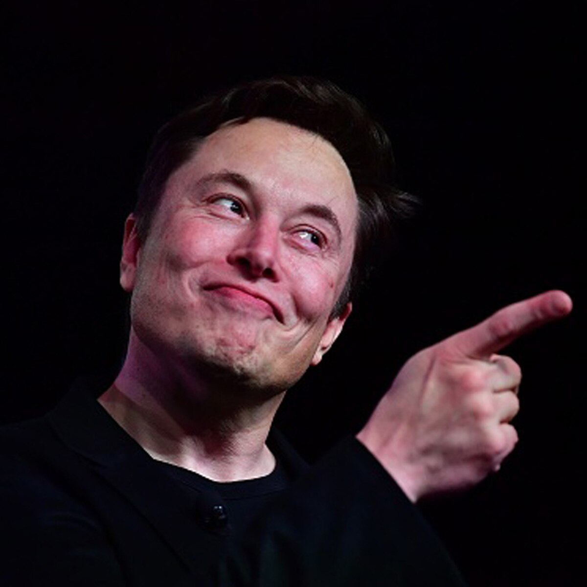 musk red planet plan