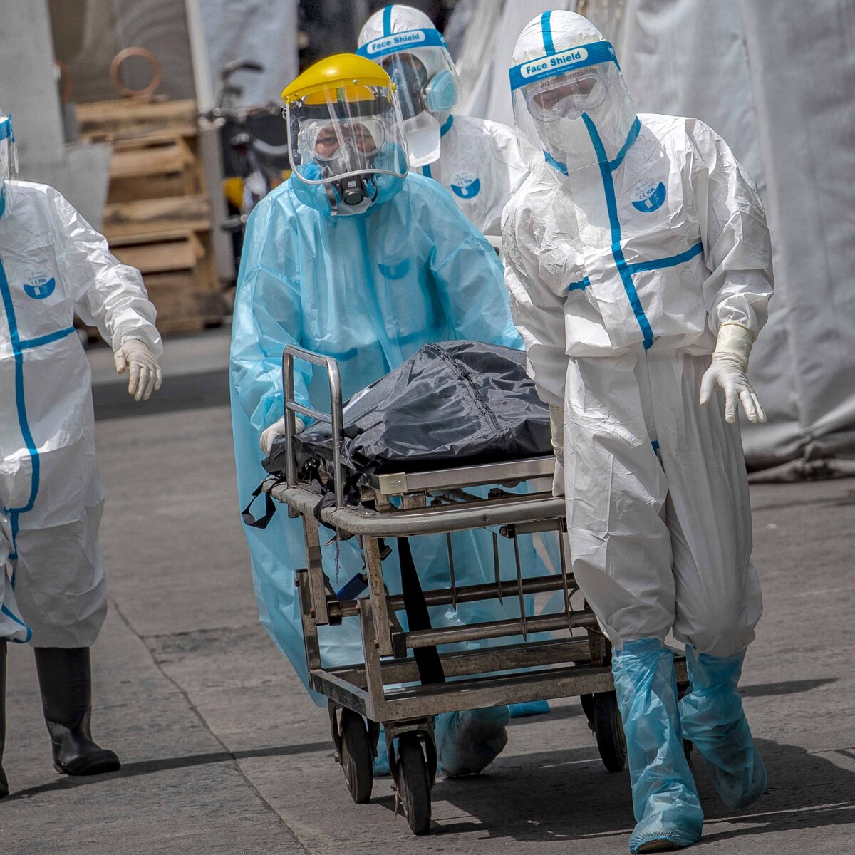 Philippines horse corona vaccine