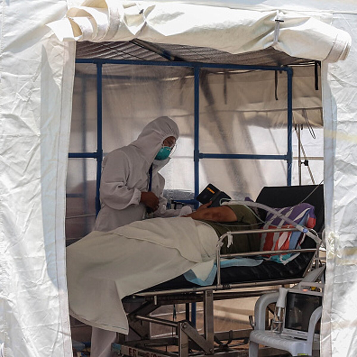 Philippines horse corona vaccine