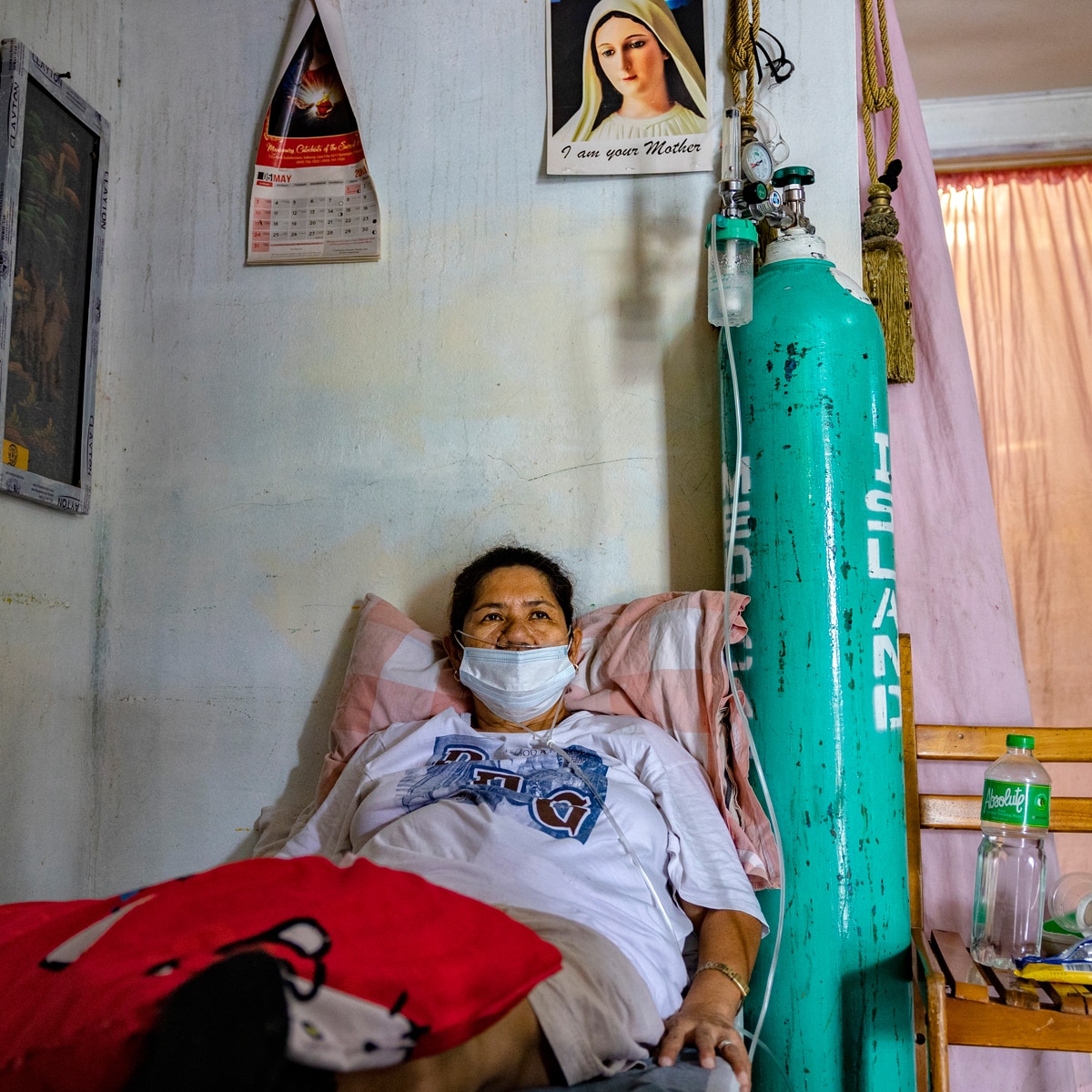 Philippines horse corona vaccine