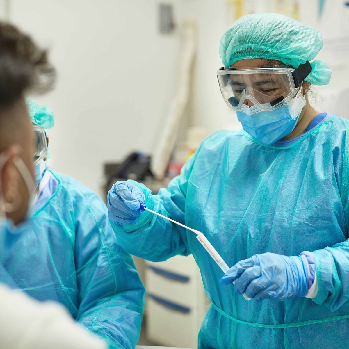 Philippines horse corona vaccine