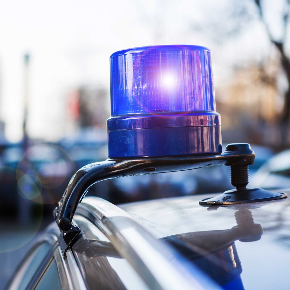 tourist couple adult video