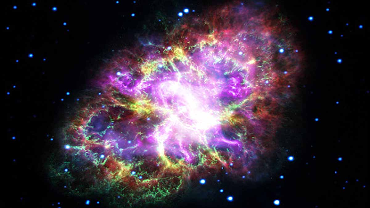 Ghostly Radio Jellyfish