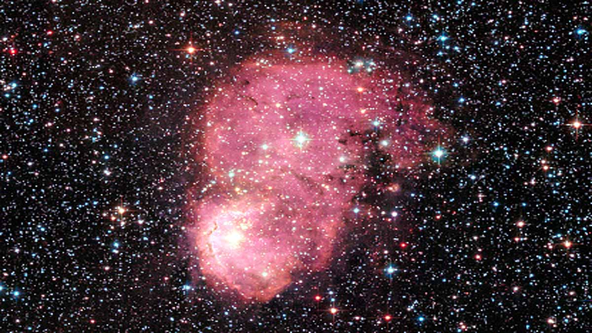 Ghostly Radio Jellyfish