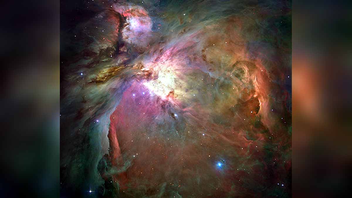 Ghostly Radio Jellyfish