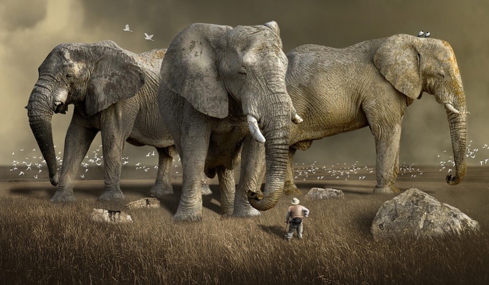 सपने में हाथी देखना