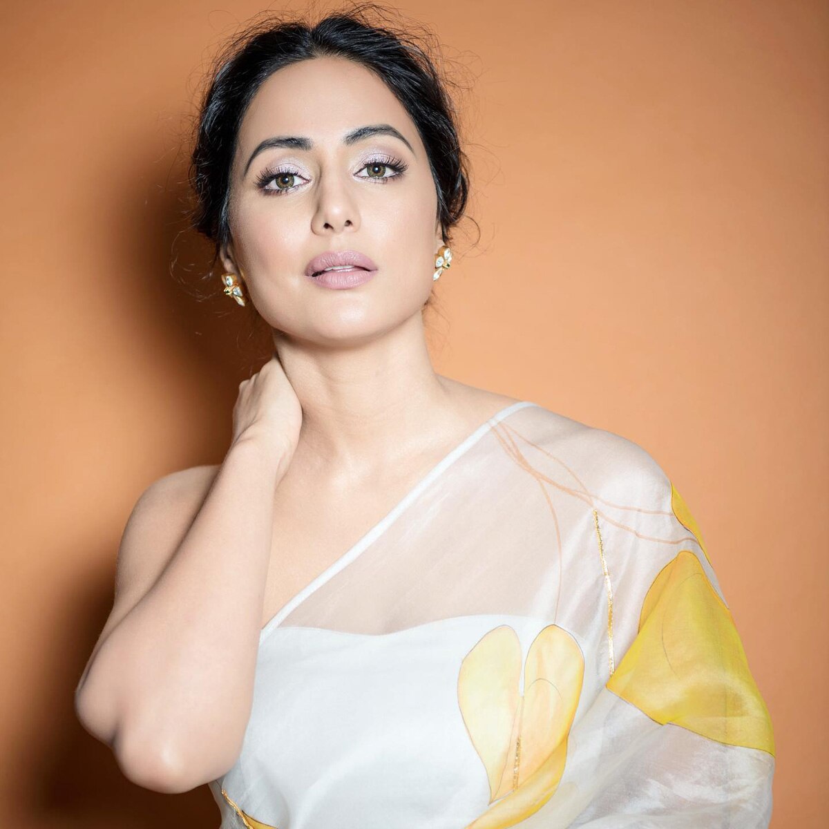 टीवी सितारे