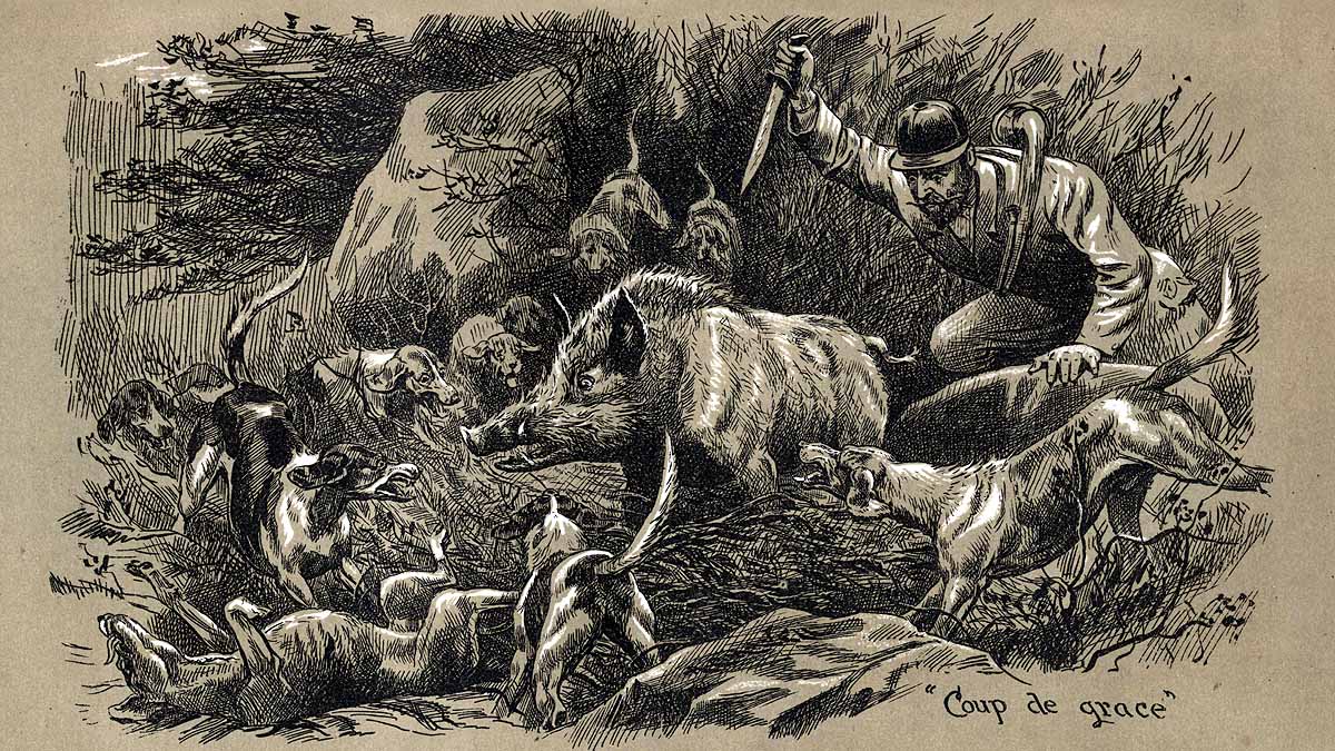 Human Ancestors Apex Predators Eat Meat