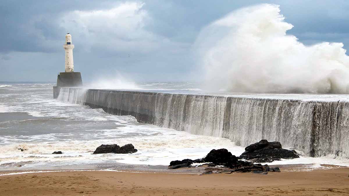 everyone on earth sat in ocean
