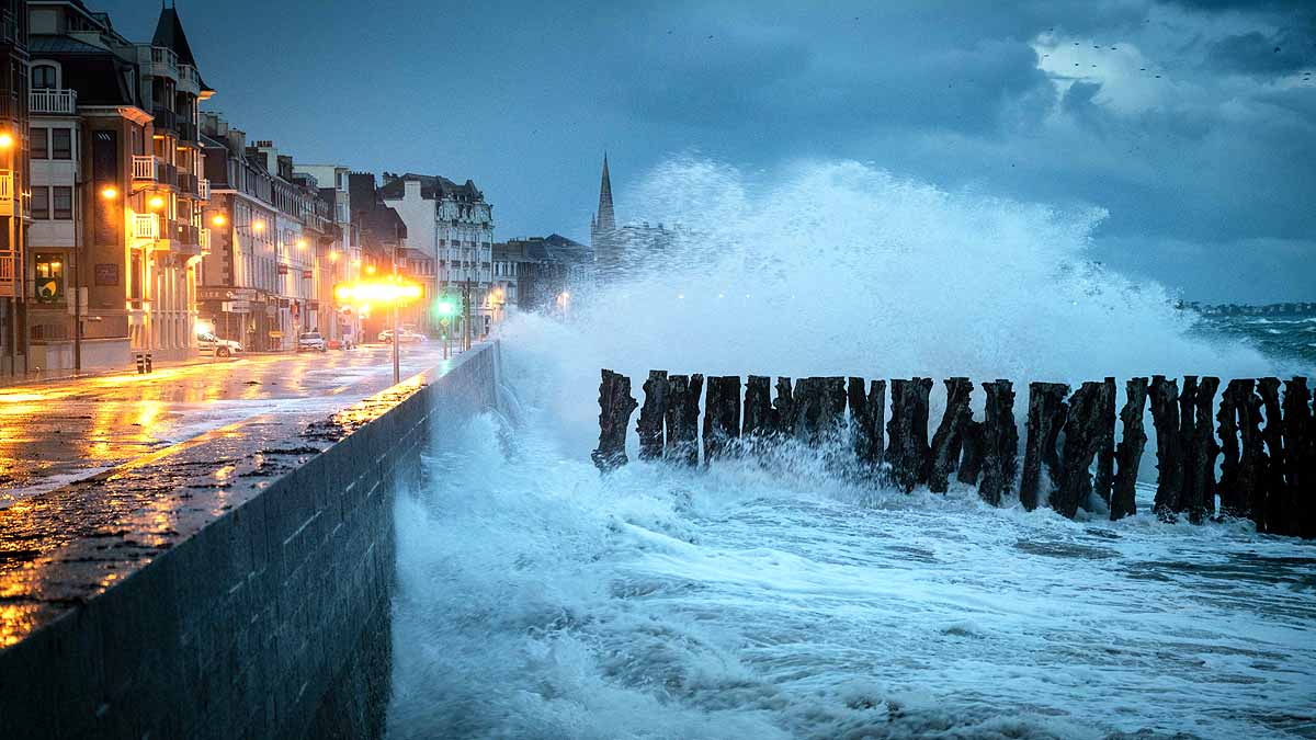 everyone on earth sat in ocean