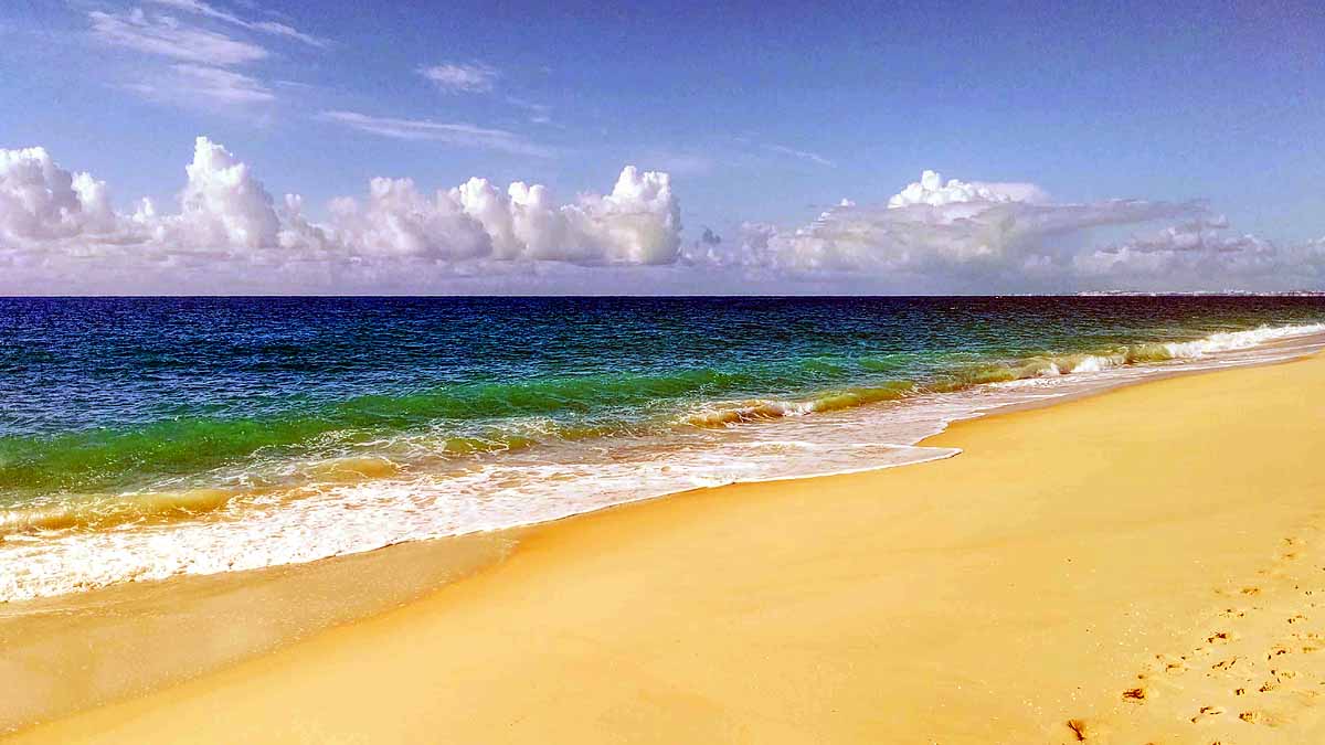 everyone on earth sat in ocean