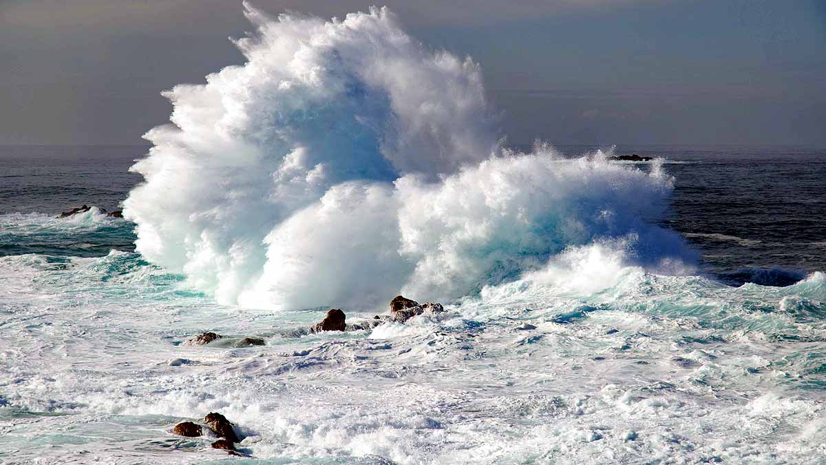 everyone on earth sat in ocean