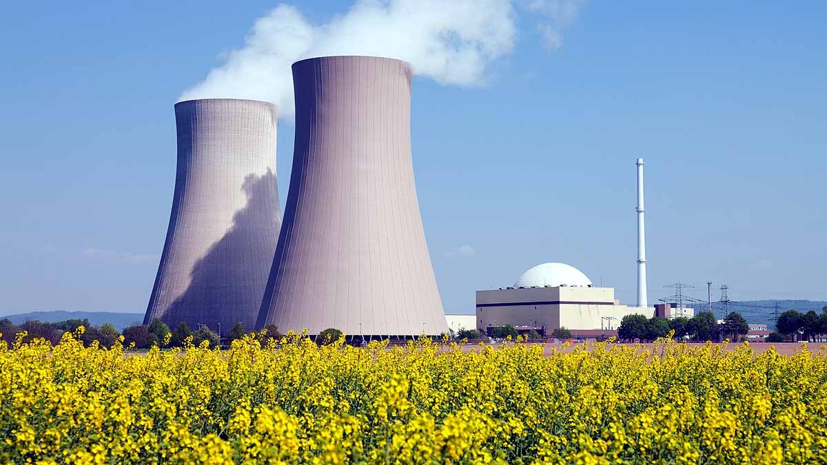 Marine Organisms Shut down Nuclear Reactors