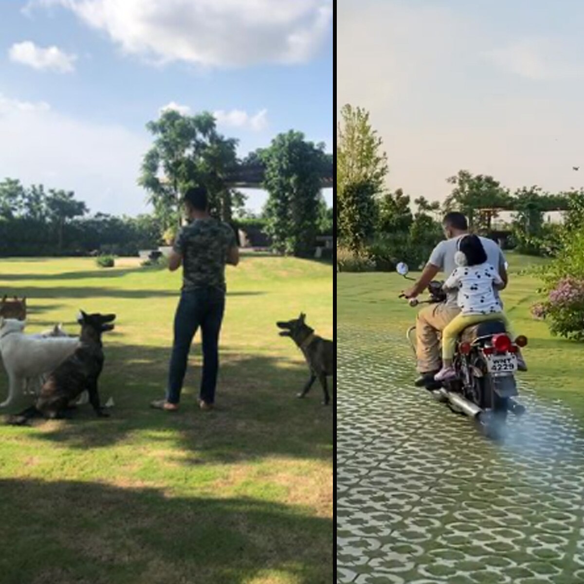 महेंद्र सिंह धोनी