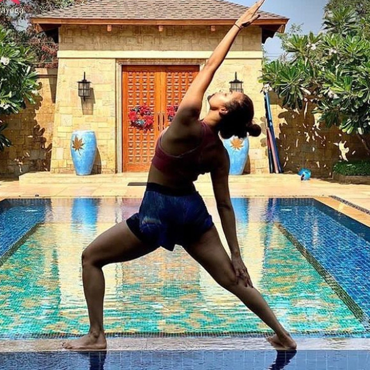 मलाइका अरोड़ा  