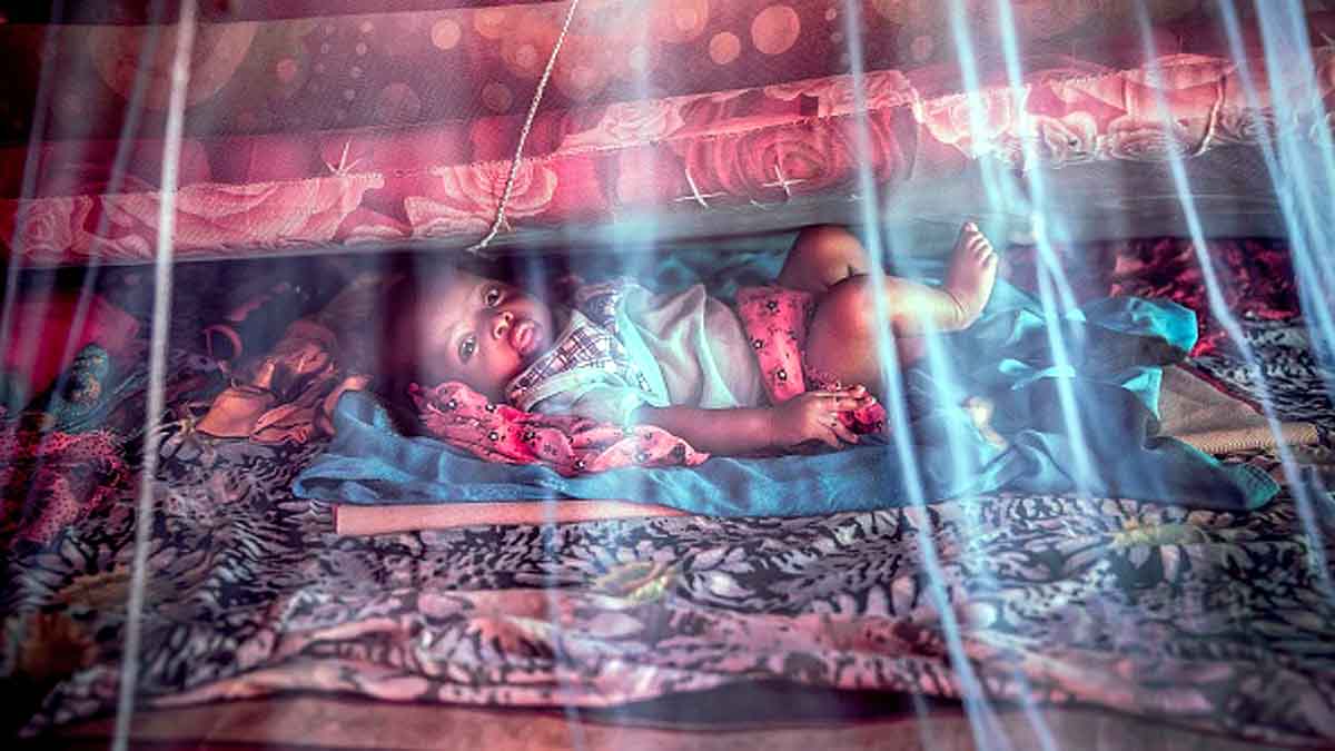 Malaria Covid-19 Vaccine